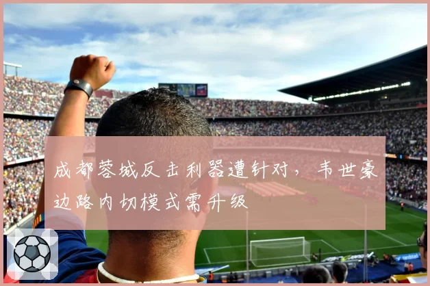 成都蓉城反击利器遭针对，韦世豪边路内切模式需升级